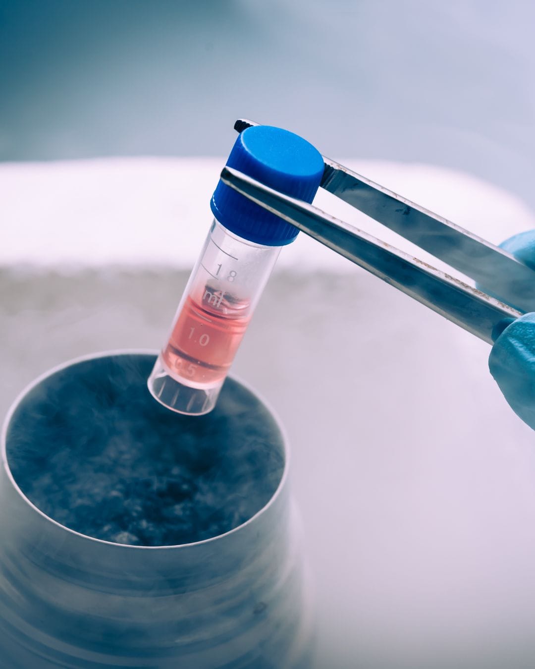 Células madre VSELs: lo que nadie te cuenta sobre la medicina regenerativa