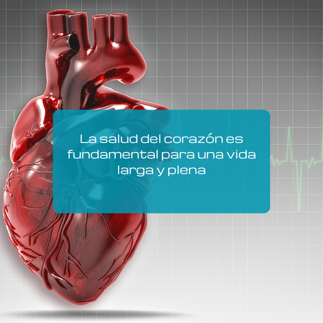 5 síntomas que podrían indicar una enfermedad autoinmune (y cómo tratarlos a tiempo):